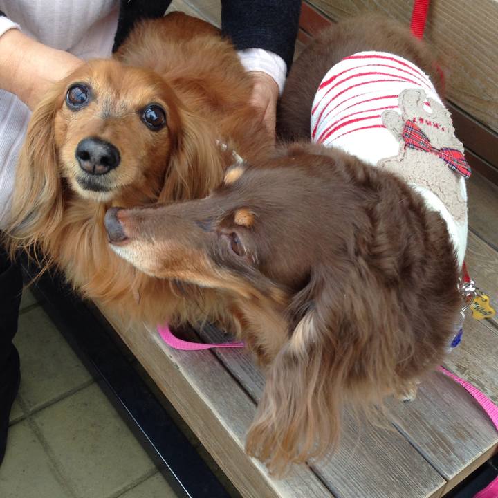 D4ad28ef 8e58 4f30 aa7a a2b8985f848c