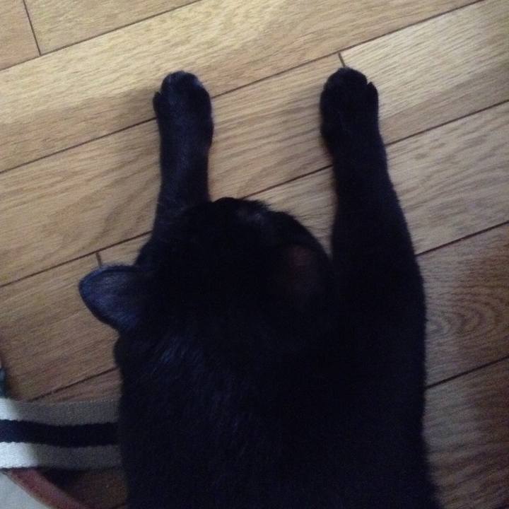 D4ad9d2f aac3 4a97 b0e4 afe5eece6a6d