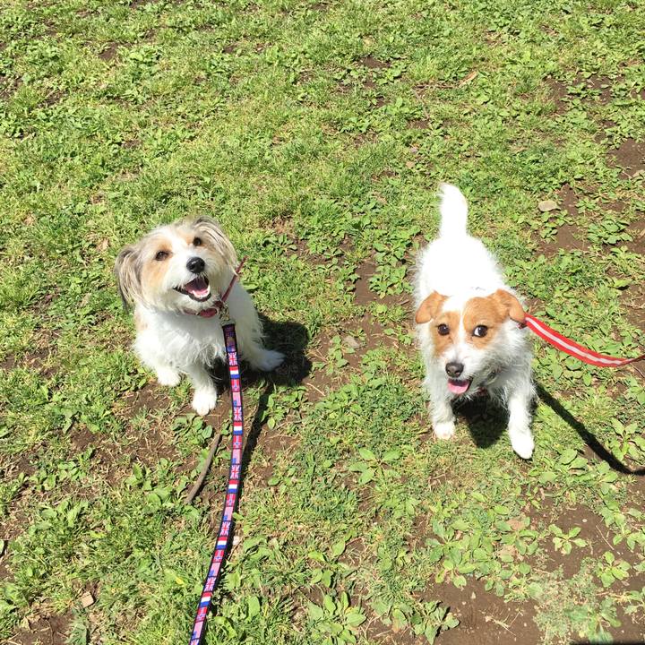 D4ae5000 8b50 4f6a bcc6 ee16d107aa84