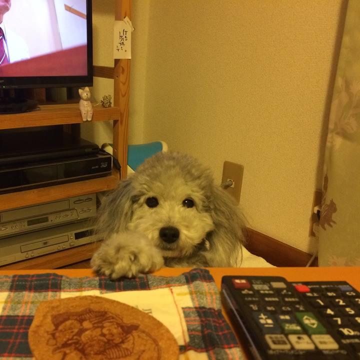 D4ae7663 7063 42c7 98c1 3db2cd29c853