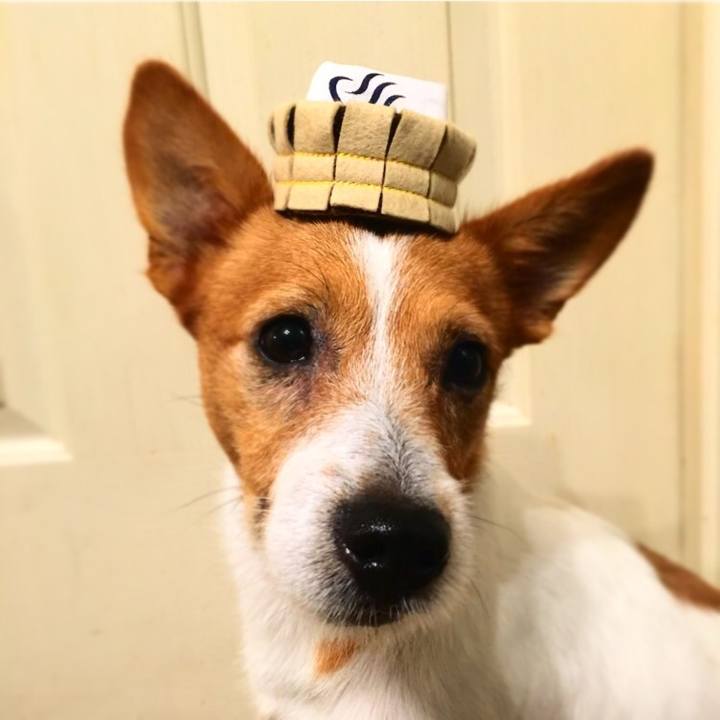 D4af2782 ad29 49fe 89ee ddf43ac3629f