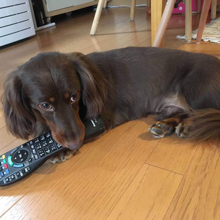 D4af5c17 692c 4097 9b5f bac3ce538b50