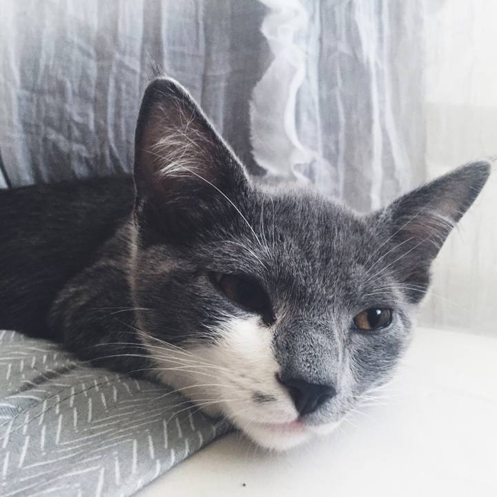 D4af604b 6ea0 4ca4 bea7 2cfcfd63799f