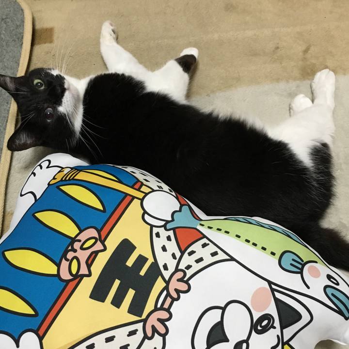 D4b048bf 4236 45b7 9e99 6a19fe0e792d