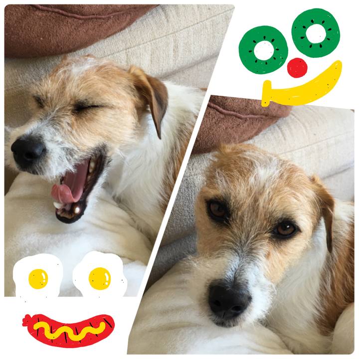 D4b06b29 766c 4f25 8db4 c8442903ac0b