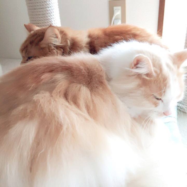 D4b0c5df 9197 4eec 9252 667ac1ba4784