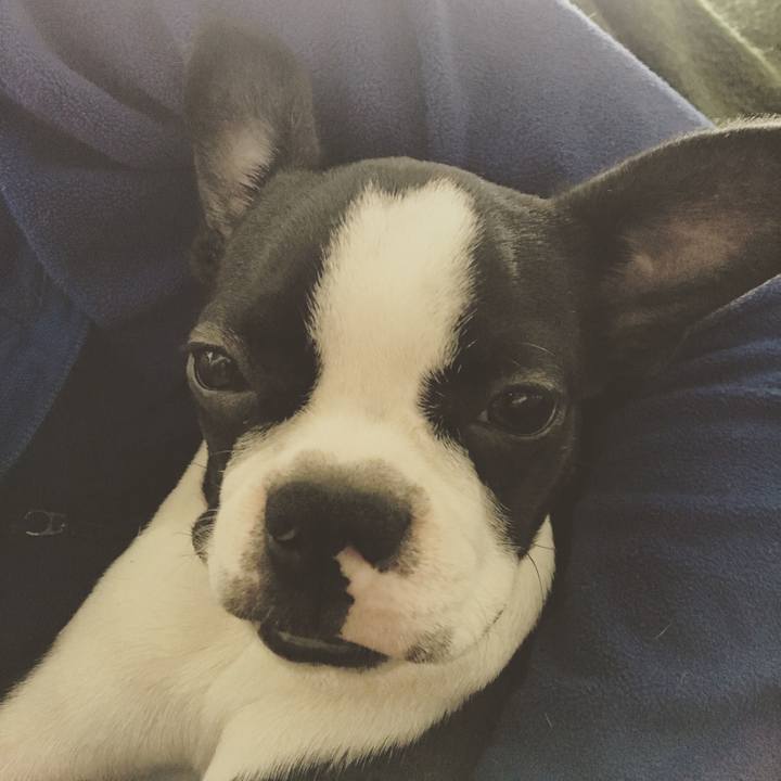 D4b0df17 22f7 4d46 aba3 a2b73858a5d6