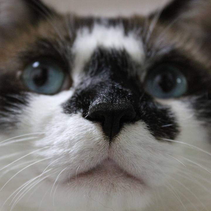 D4b16e8d b31a 4dfb 8d58 c6ecc5cbefb5