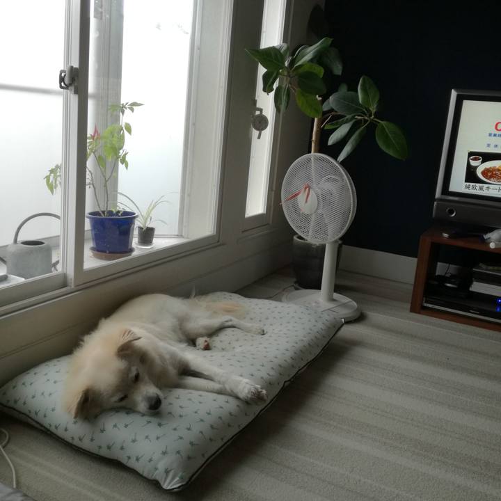 D4b19774 4a12 4d35 af9c 117c86b8d746