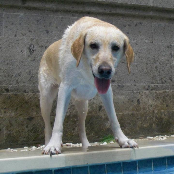 D4b1d27e ae85 45f2 b91c bcdab6278c48