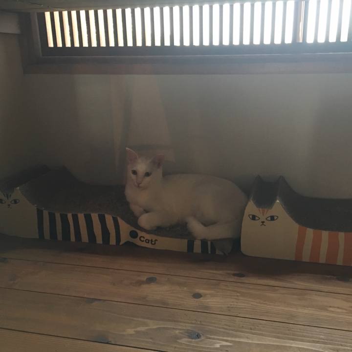 D4b329f6 4089 4a3b 84ef 0099eb8f8f33