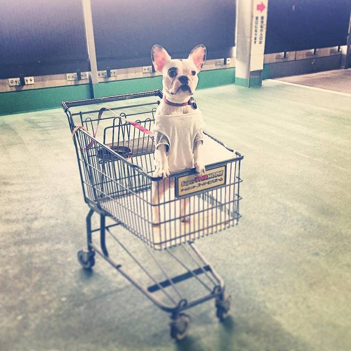 D4b3678e ca05 4456 b640 936b6c9f8a03