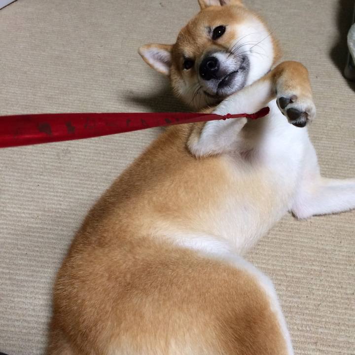 D4b4a611 fb7f 40cc b869 31ed20378da6