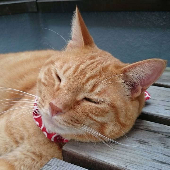 D4b4b8c7 6ee8 4aa6 8c85 67b3c8bc0a41