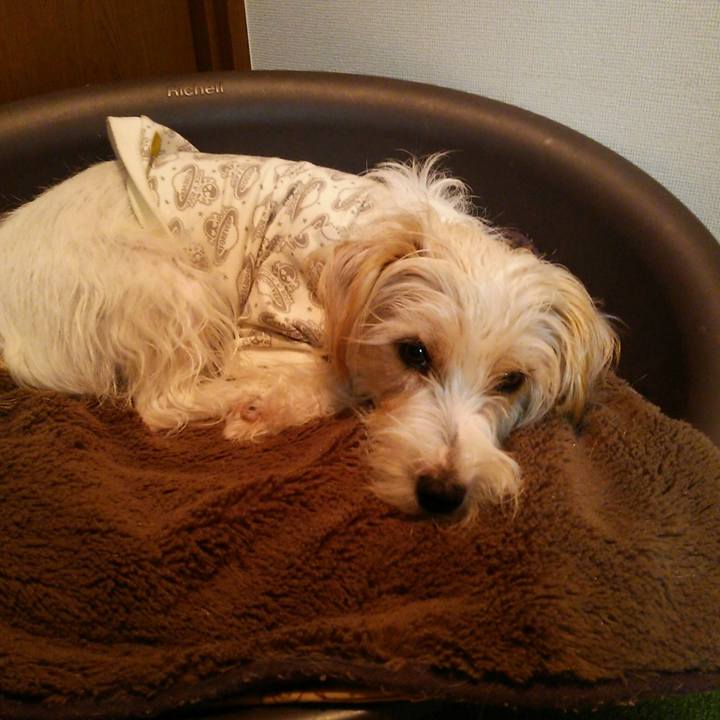 D4b4dd1b 7d42 4fa2 bcd1 e8d574abc89b