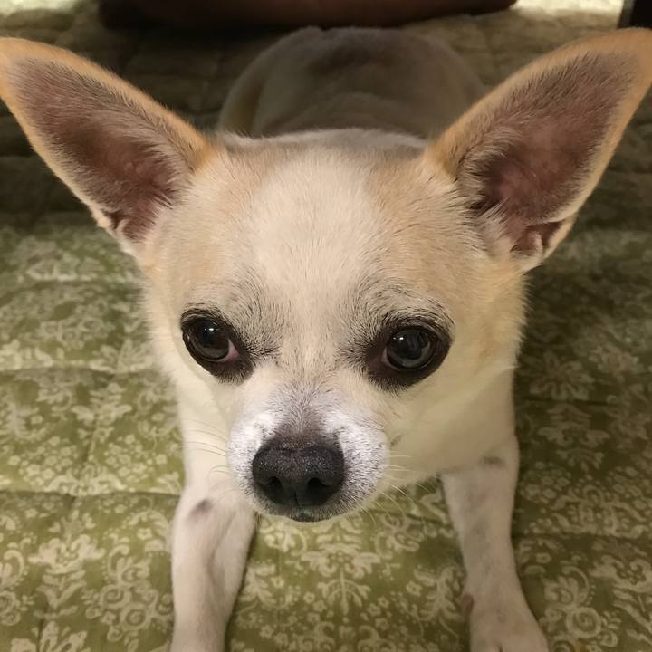 D4b55be4 687b 4151 8fdc e70e0c198569