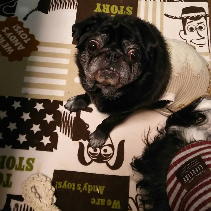 D4b57c95 24c1 4cbd 82af a182f4297d6f