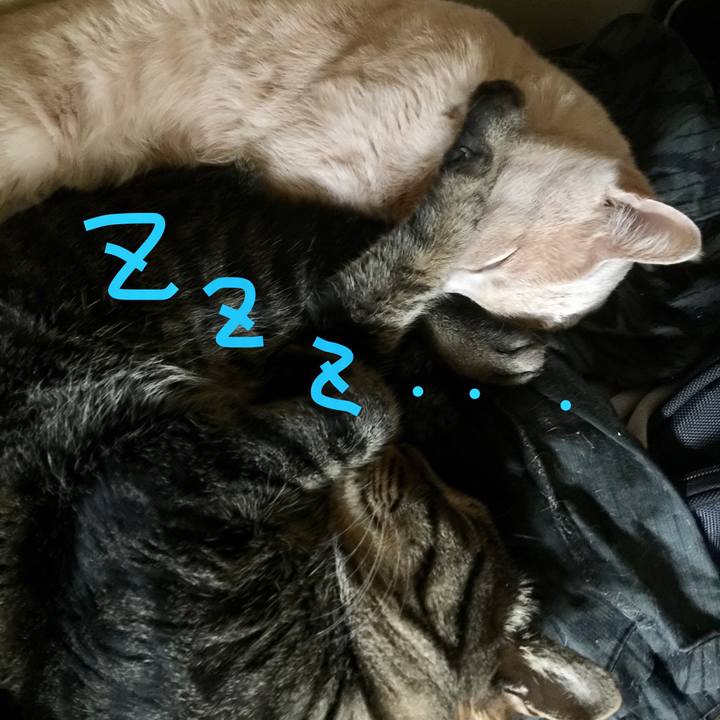 D4b5f017 22c4 432f 98e6 d875a7b5c355