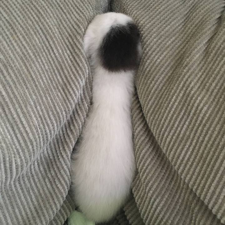 D4b6b454 a74f 4f55 bf7b 6a0fdd20c390