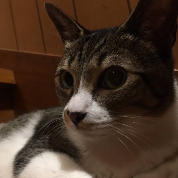 D4b6d8e5 afbd 438d b83f d6e33e1b6373