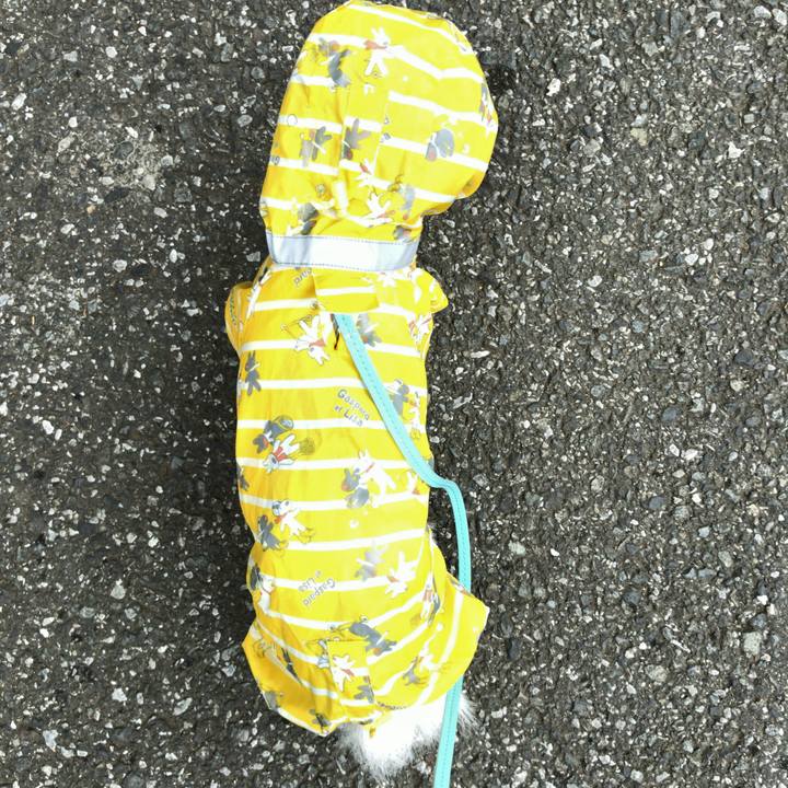 D4b7674d 1b62 40b6 8483 63bdc6b53c5c