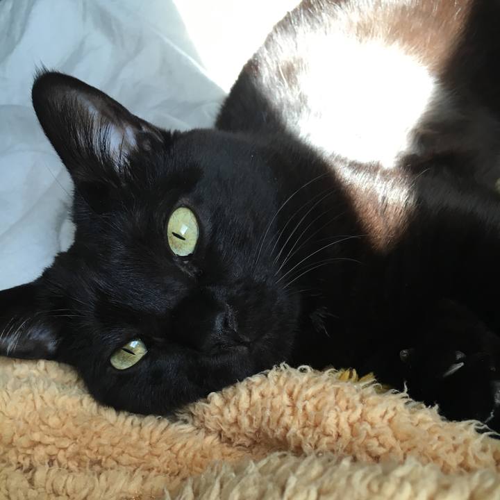 D4b775e4 758a 405b 9f89 f1ac548ddd83