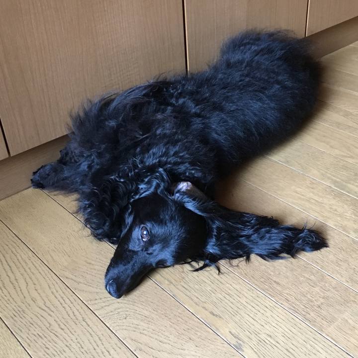 D4b7d688 aac0 491f 9710 6fd6e154cda3