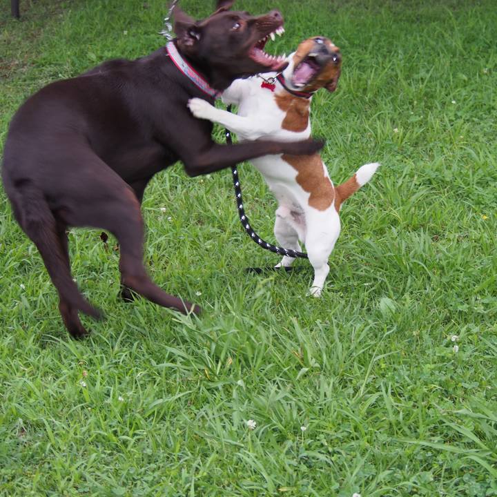 D4b7f969 bce9 438d a2da db4d979aa463