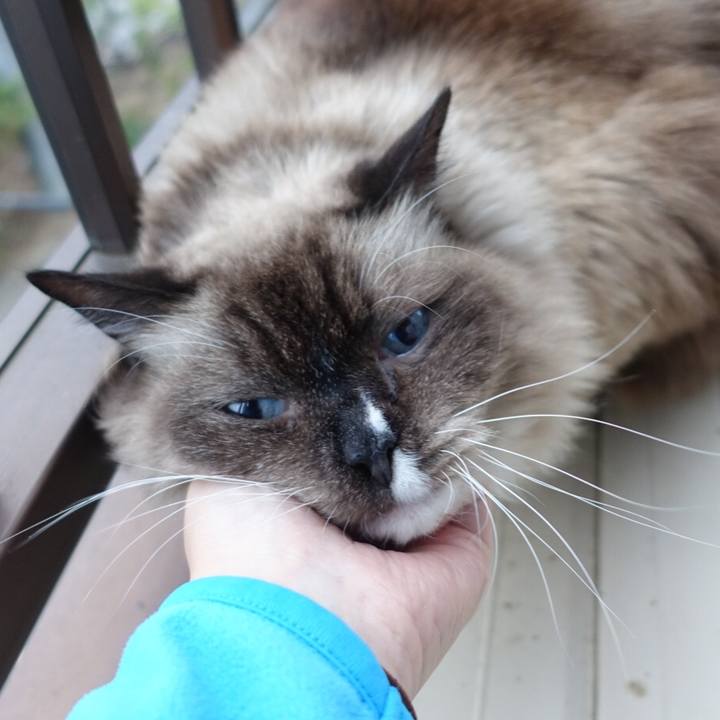 D4b85461 6443 4e75 bef4 bacc7f8d7147