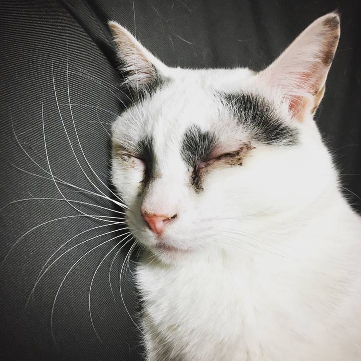 D4b88a04 69c6 4c7f 9c87 bbc6af2b3d91