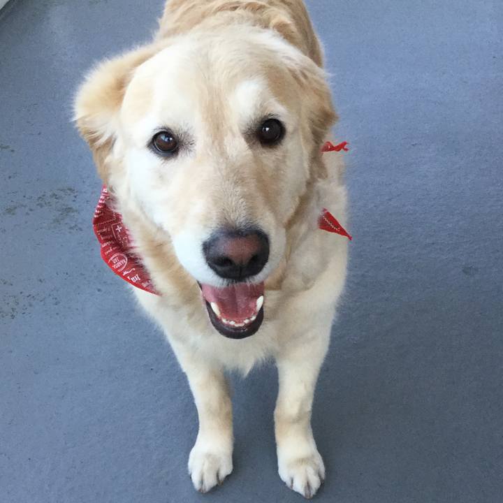 D4b8f1b6 c083 42f8 9b8a d75713f08d0a