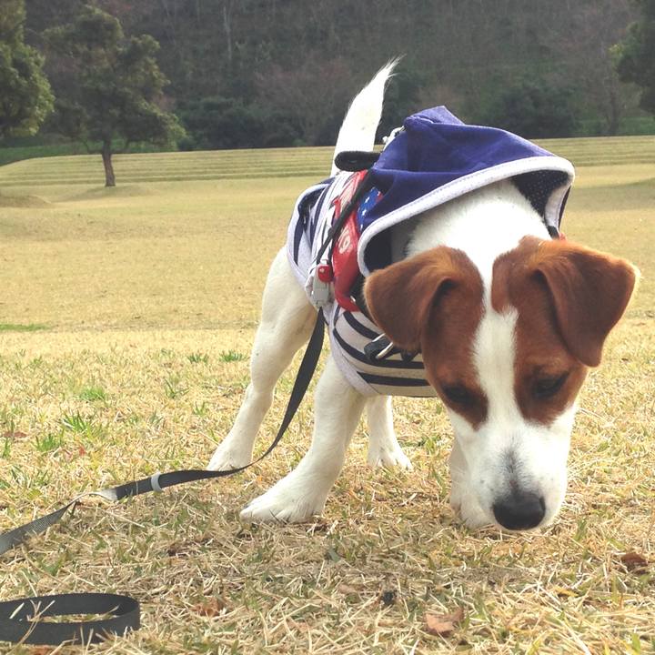 D4ba2cc8 af60 4f63 bf76 c379414c3616