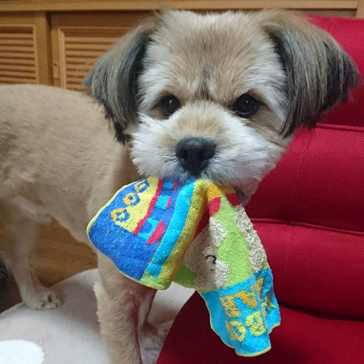 D4ba5e96 30f7 4e33 90c1 bc026dddf303