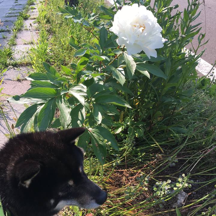 D4bacc34 b1e5 4933 888f 26bec594ca8a