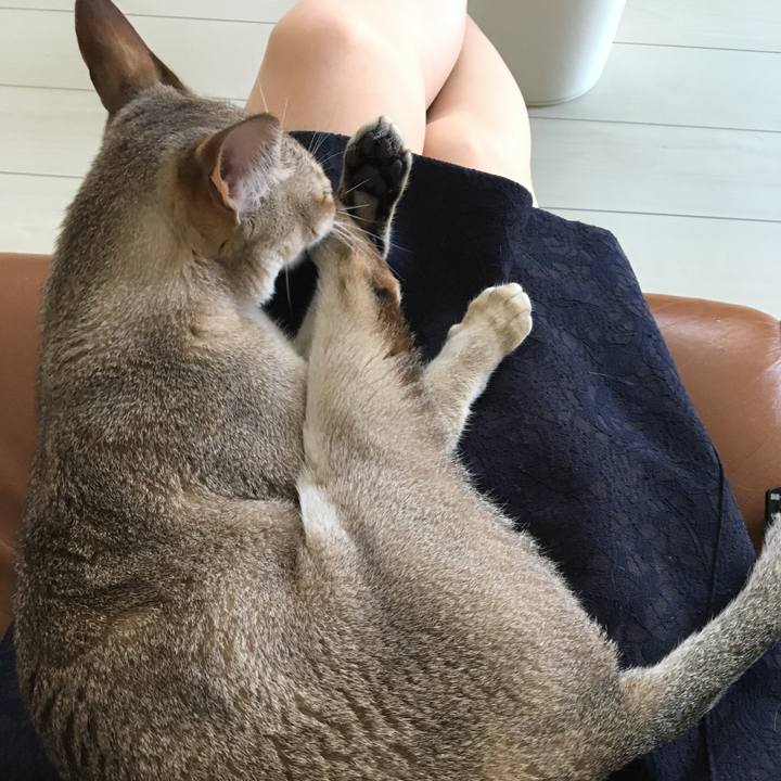 D4bb0cd6 bb0c 40d1 9594 3c4a1bbfc30a