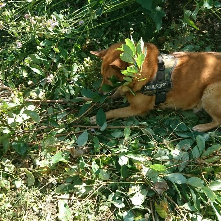 D4bb5012 8392 44cd b961 292b0d8eb371