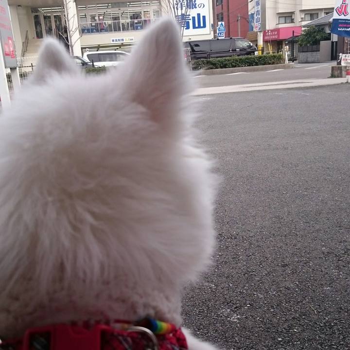 D4bb5060 c30e 4d17 abfa 8041e66144b1