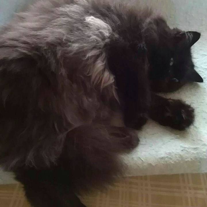 D4bb744e 52e0 4f40 af8d c1b5b95e35a0