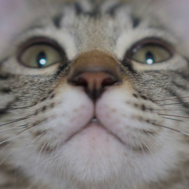 D4bb8670 bdec 4473 b156 db98cde41887