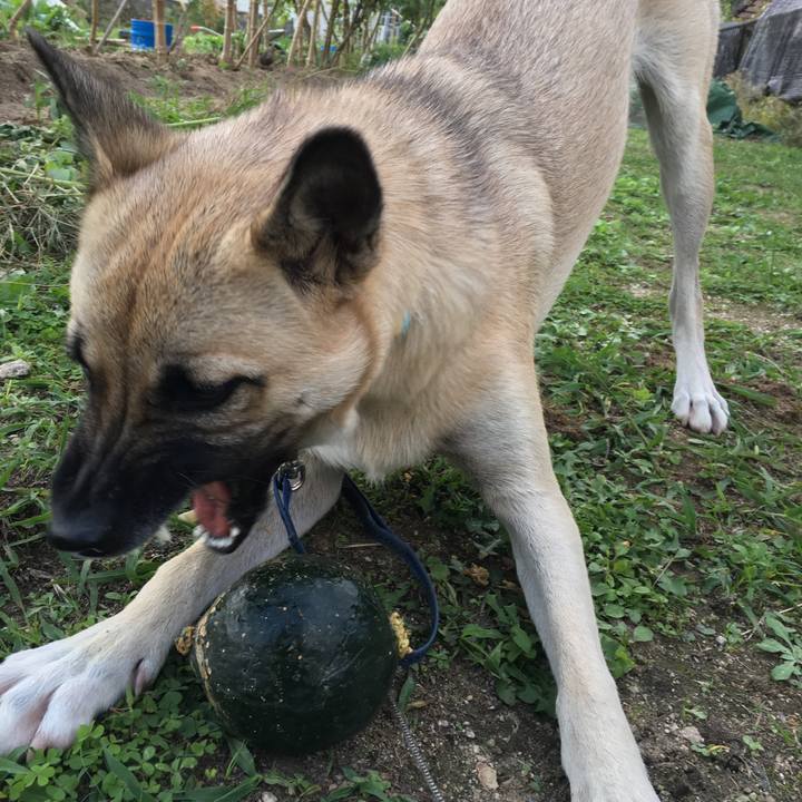 D4bb8b9b 4882 4167 9f6a 4d89124d25cb