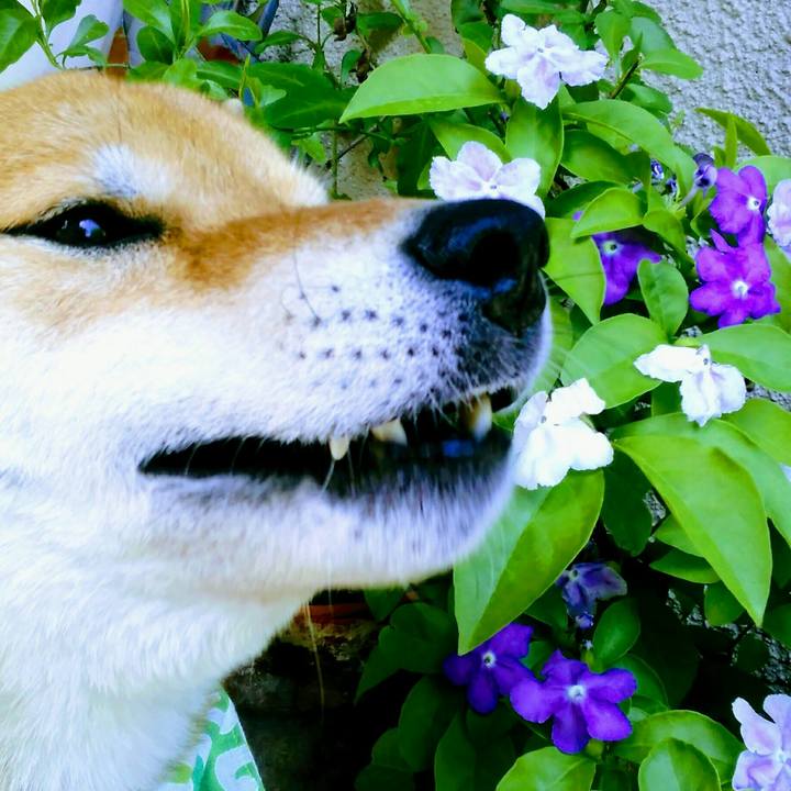 D4bba6cf 007c 47db a02e 12ab929ae80d