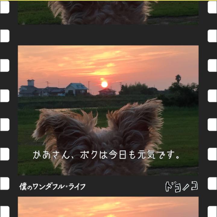 D4bbe278 19a5 4bc1 bff0 330cb4dcfe18