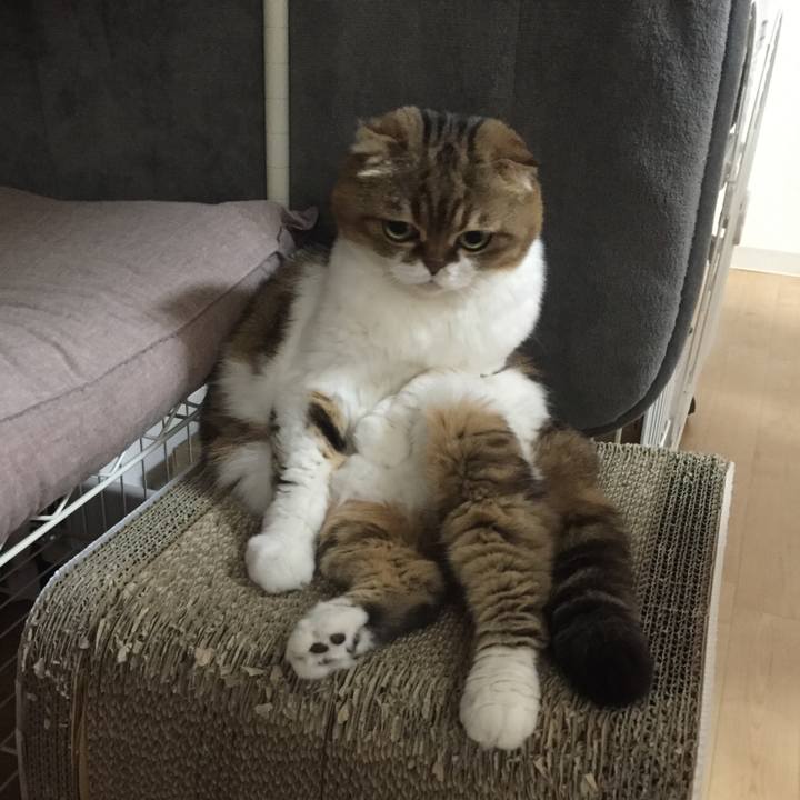 D4bcee19 166d 47d8 800b 0b981afcb562