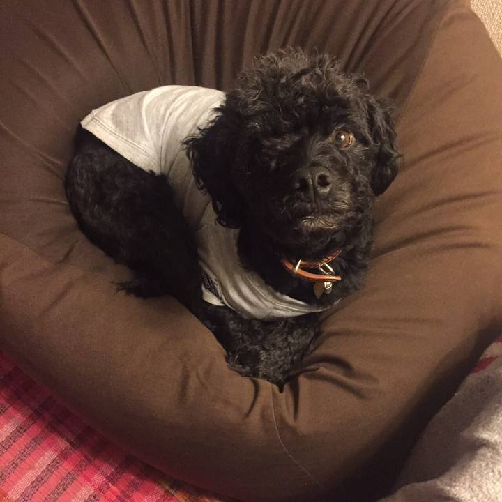 D4bcf11e 9fb2 4382 b380 aafa441e9411