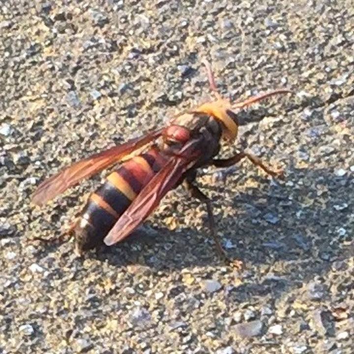 D4bd7592 438b 4e6d 96e7 09720c599f9b