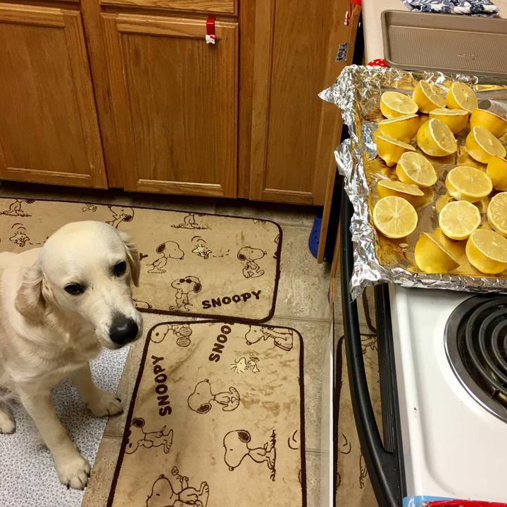 D4be03b3 0c48 4105 93a3 cc491ef1a00b