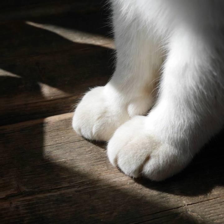 D4beb8a0 fa7e 432e 9a2e f2a957d51aa2