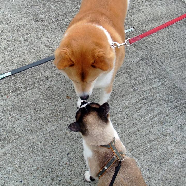 D4c0619c 6587 438e a5a4 e982007be5cd