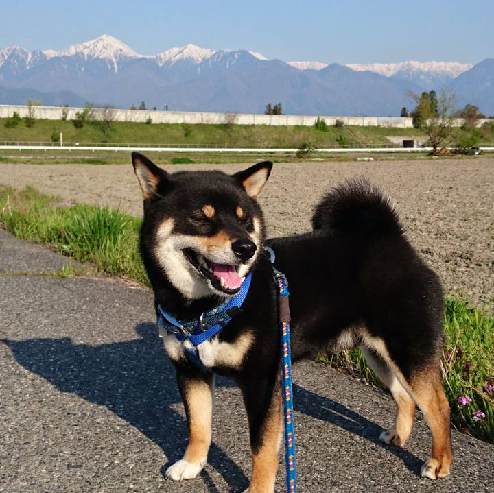 D4c1329a b343 4c51 ad49 fd17e3eda6bb