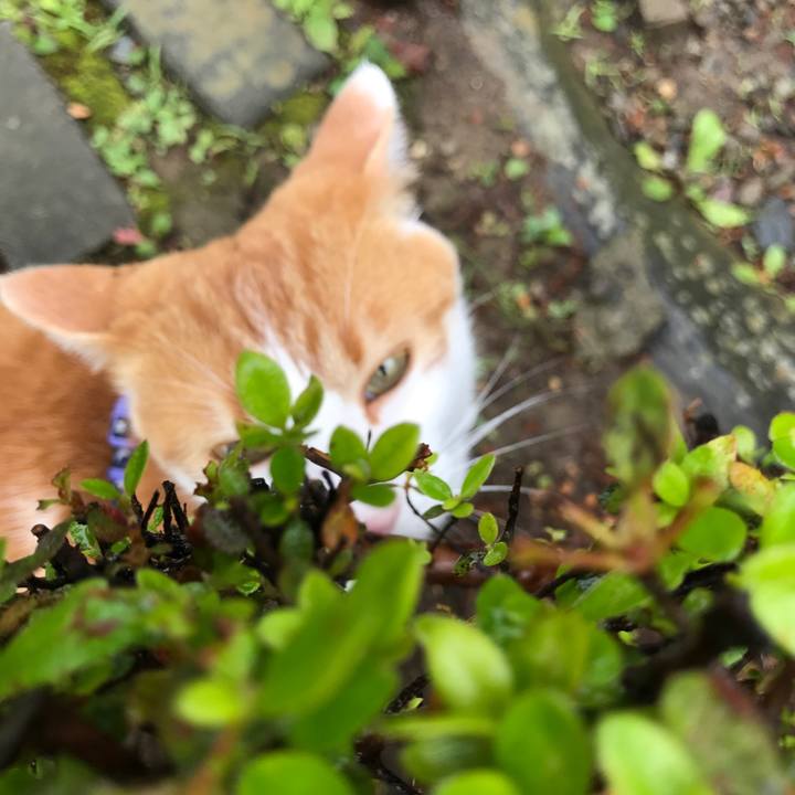 D4c14d03 0acc 4ca3 8bcb 9b33cc444129